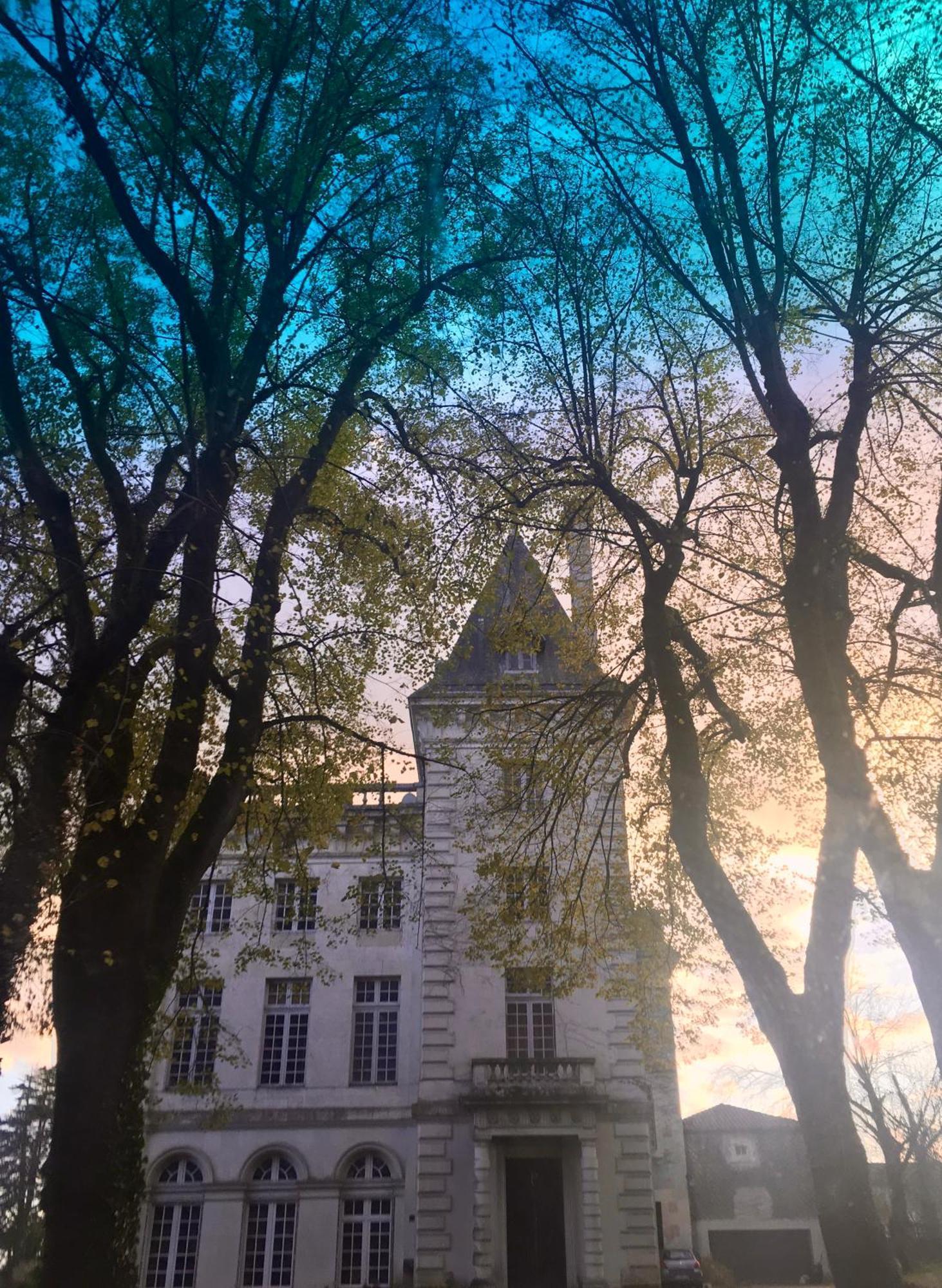 Château de Chasseneuil sur Bonnieure Chasseneuil-sur-Bonnieure Exterior foto